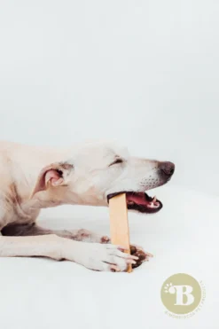 Bimordiscos Hueso De Queso Para Perros. L