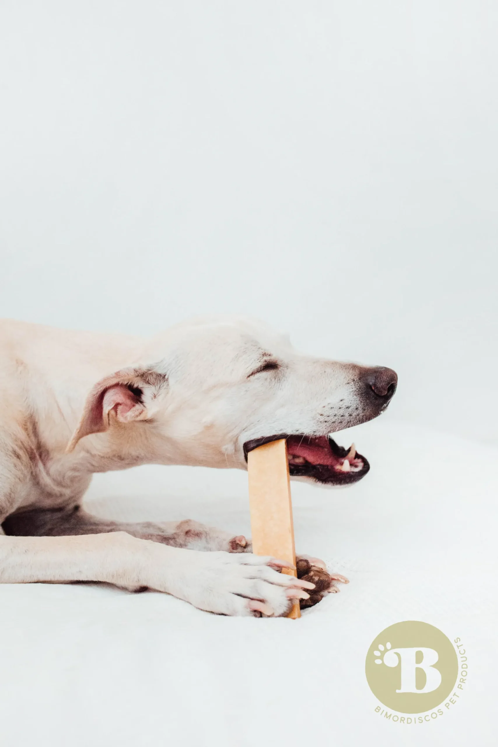 Bimordiscos Hueso De Queso Para Perros. L
