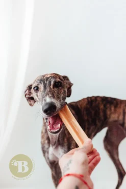 Bimordiscos Hueso De Queso Para Perros. S X 2 Uds.