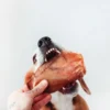 Bimordiscos Orejas De Cerdo Para Perros · 250g