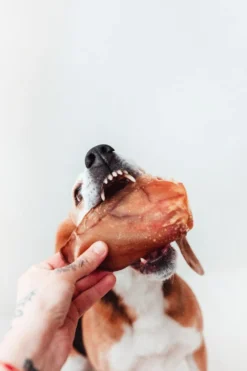 Bimordiscos Orejas De Cerdo Para Perros · 250g