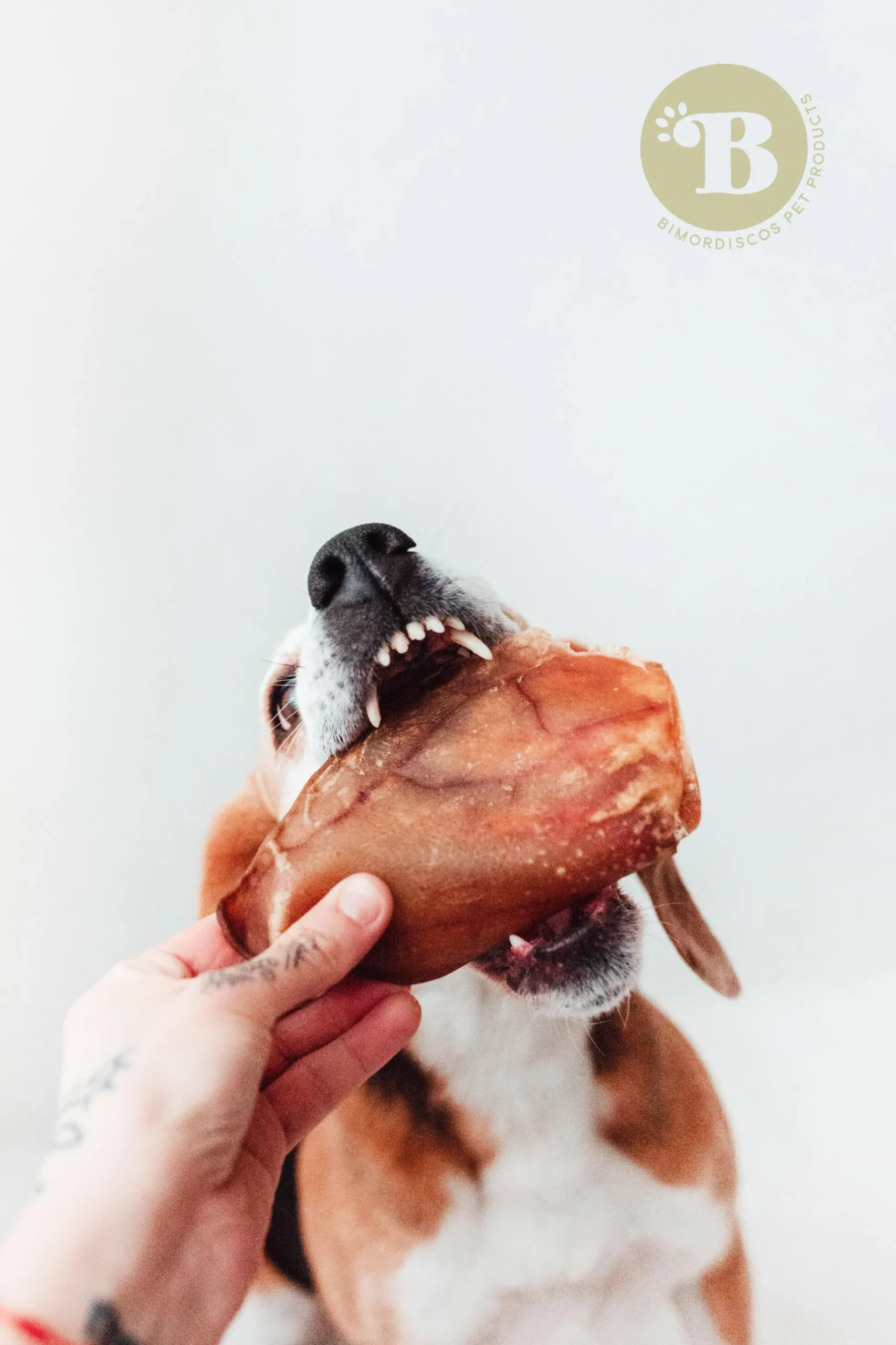 Bimordiscos Orejas De Cerdo Para Perros · 250g