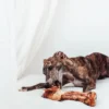 Bimordiscos Pata De Vaca Para Perros.