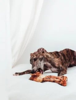 Bimordiscos Pata De Vaca Para Perros.