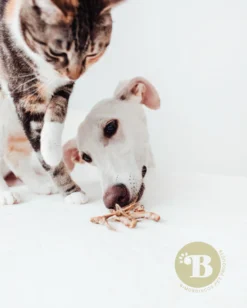 Bimordiscos Pescados Deshidratados Para Perros Y Gatos · 50g