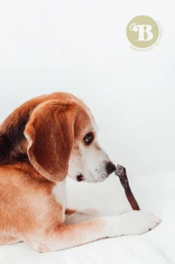 Bimordiscos Piel De Camello Para Perros · 500g. 500g