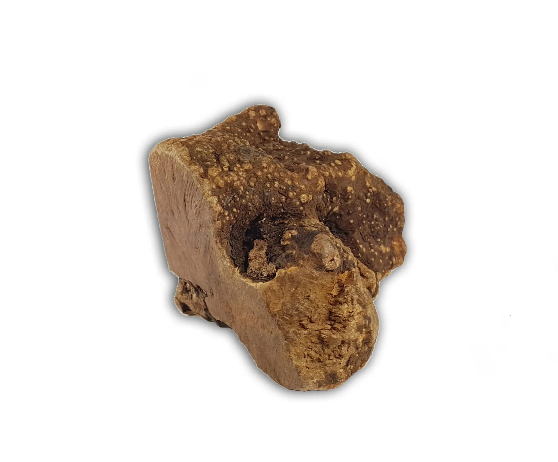Bimordiscos Raíz De Brezo Para Perros Con Aceite De Salmón Pack. 2 X L