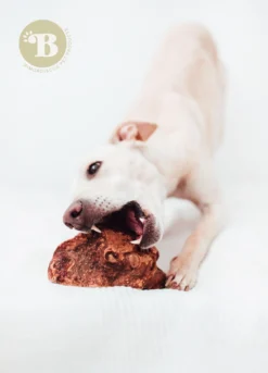 Bimordiscos Raíz De Brezo Para Perros Con Aceite De Salmón Pack. 2 X L