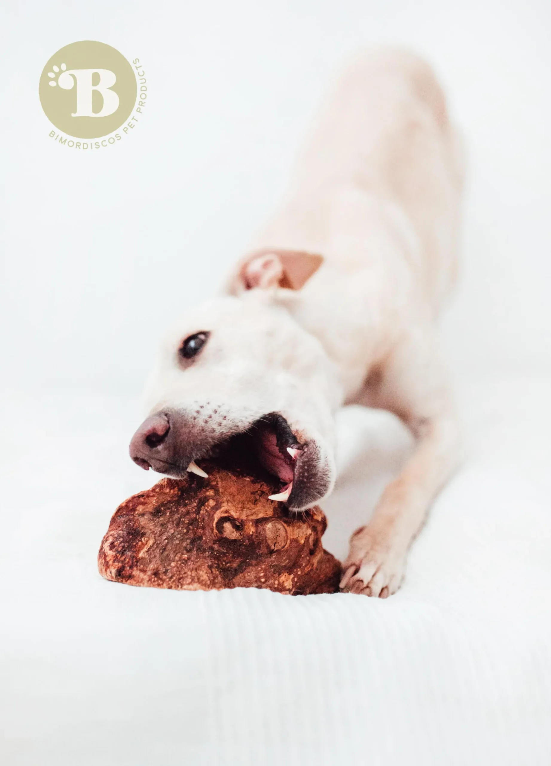 Bimordiscos Raíz De Brezo Para Perros Con Aceite De Salmón Pack. 2 X L
