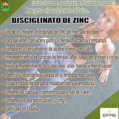 Bisglicinato De Zinc Efne (400 Caps)