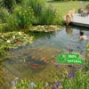 Bloom Boost Tabletas Abono 10 Unidades - Plantas Estanque - 6 Meses
