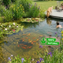 Bloom Boost Tabletas Abono 10 Unidades - Plantas Estanque - 6 Meses