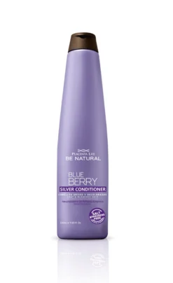 Blueberry Silver Acondicionador 350ml
