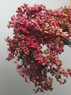 Bolas De Falsa Pimienta