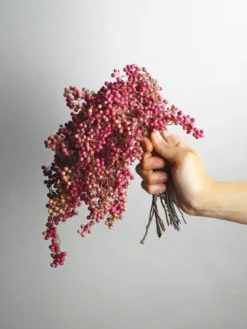 Bolas De Falsa Pimienta