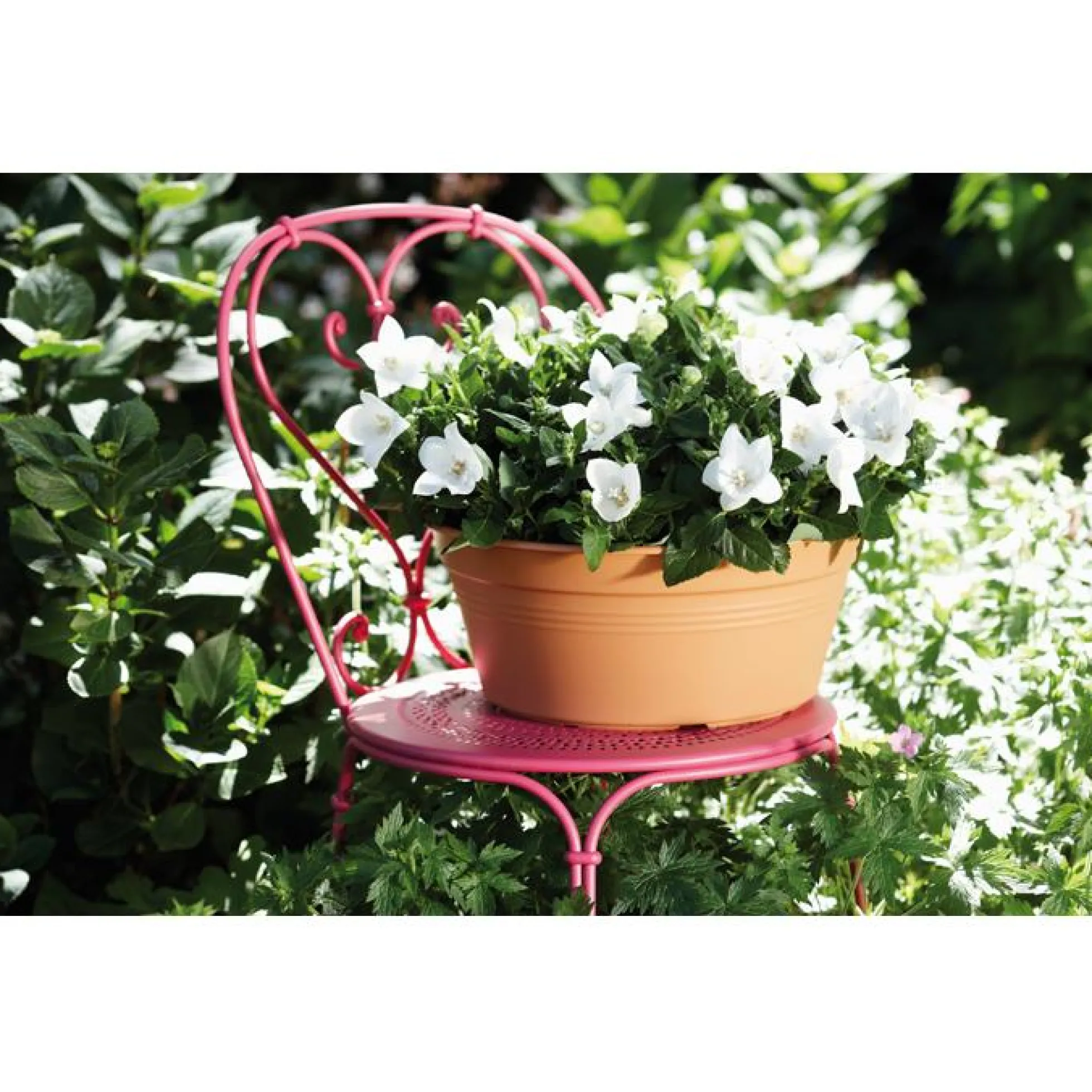 Bowl redondo Green Basics Elho Antracita 33 cm
