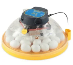 Brinsea Maxi Ii Eco - 30 Huevos De Gallina- Incubadora Analógica Con Volteo Manual