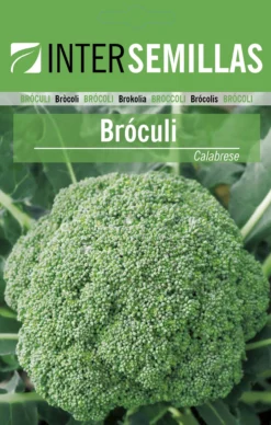 Broculi Calabrese Sobre De Semillas Horticolas
