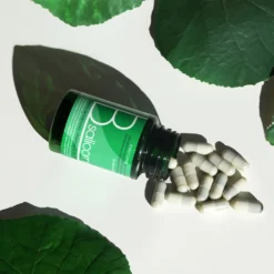 B-salicornia – Extracto Natural De Salicornia Con Vitaminas Del Grupo B