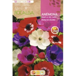 Bulbo Anémona Caén mezcla 10 uds Rocalba