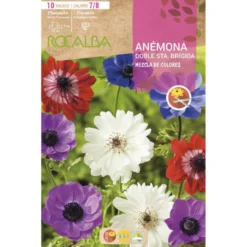 Bulbo Anémona doble Sta. Brígida mezcla 10 uds Rocalba