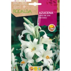 Bulbo Azucena Lirio de San Antonio 1 ud Rocalba
