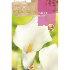 Bulbo Calla blanca 2 uds Rocalba