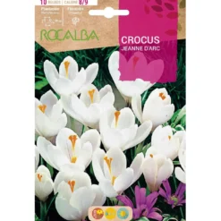 Bulbo Crocus Jeanne D'Arc blanco y lila 10 uds Rocalba
