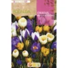 Bulbo Crocus mezcla 10 uds Rocalba
