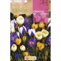 Bulbo Crocus mezcla 10 uds Rocalba