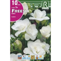 Bulbo Freesia doble blanco 10 uds Rocalba