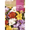 Bulbo Freesia doble mezcla 10 uds Rocalba