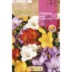 Bulbo Freesia doble mezcla 10 uds Rocalba