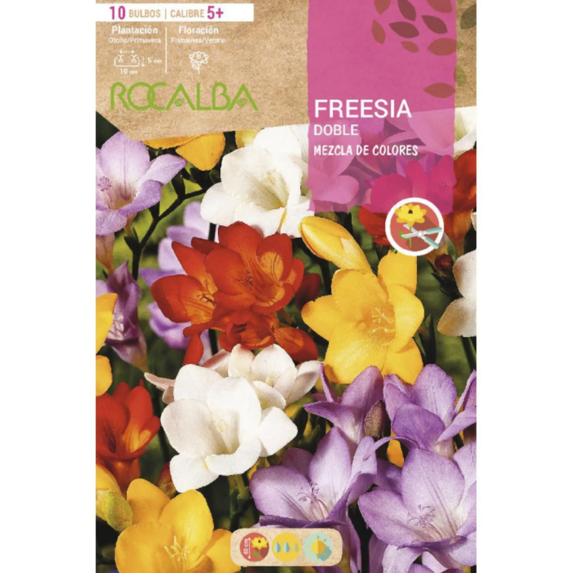 Bulbo Freesia doble mezcla 10 uds Rocalba
