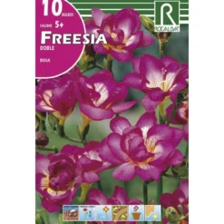 Bulbo Freesia doble roa 10 uds Rocalba