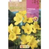 Bulbo Freesia simple amarillo 10 uds Rocalba