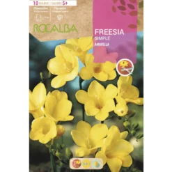 Bulbo Freesia simple amarillo 10 uds Rocalba