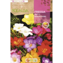 Bulbo Freesia simple mexzcla 10 uds Rocalba