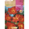 Bulbo Freesia simple rojo 10 uds Rocalba