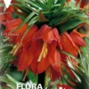 Bulbo Fritillaria imperialis rojo 1 ud