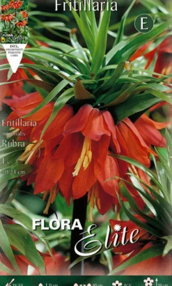 Bulbo Fritillaria imperialis rojo 1 ud