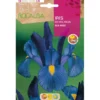 Bulbo Iris de Holanda Blue Magic azul 10 uds Rocalba