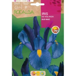 Bulbo Iris de Holanda Blue Magic azul 10 uds Rocalba