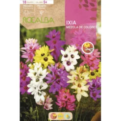 Bulbo Ixias mezcla 10 uds Rocalba