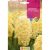 Bulbo Jacinto City Of Haarlem amarillo 3 uds Rocalba