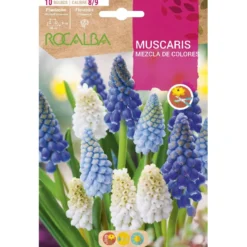 Bulbo Muscaris mezcla 10 uds Rocalba