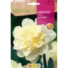 Bulbo Narciso doble Cheerfulness blanco 5 uds Rocalba