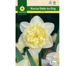 Bulbo Narciso Doble Ice King