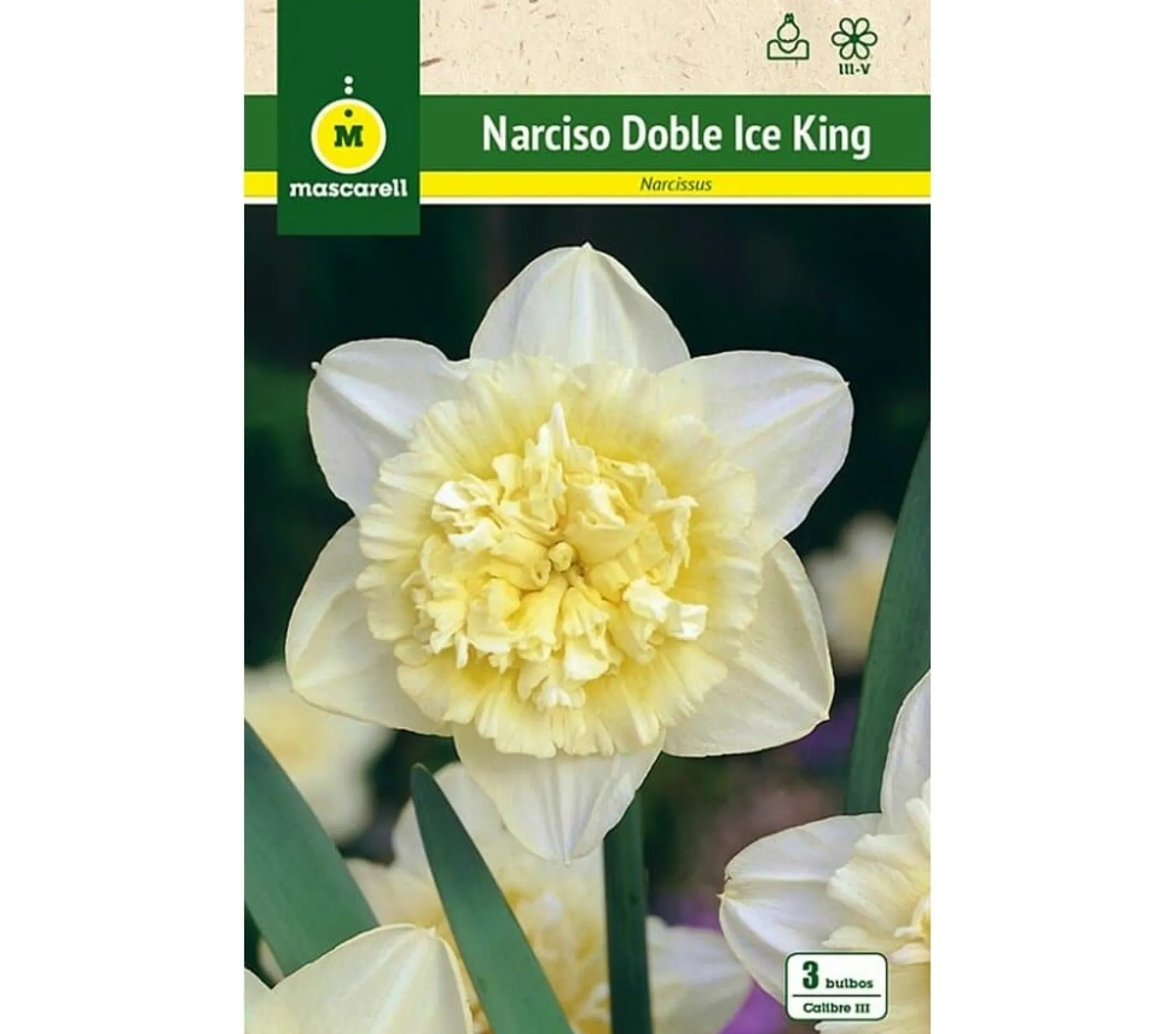 Bulbo Narciso Doble Ice King