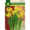 Bulbo Narciso Paperwhites Amarillo
